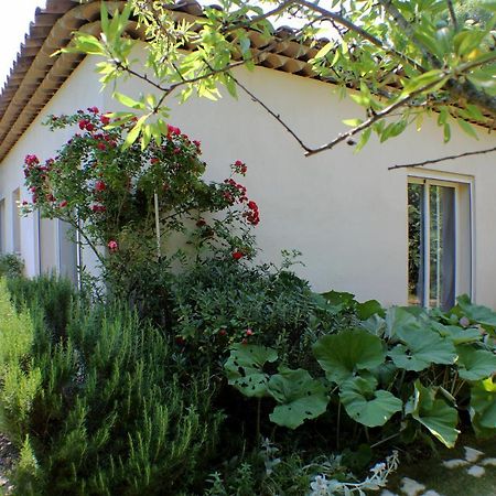 Le 275 Villa La Colle-sur-Loup Dış mekan fotoğraf